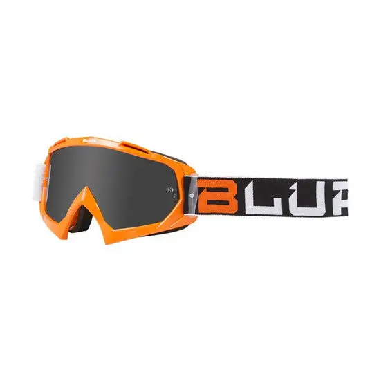 Blur B-10 Goggles 1