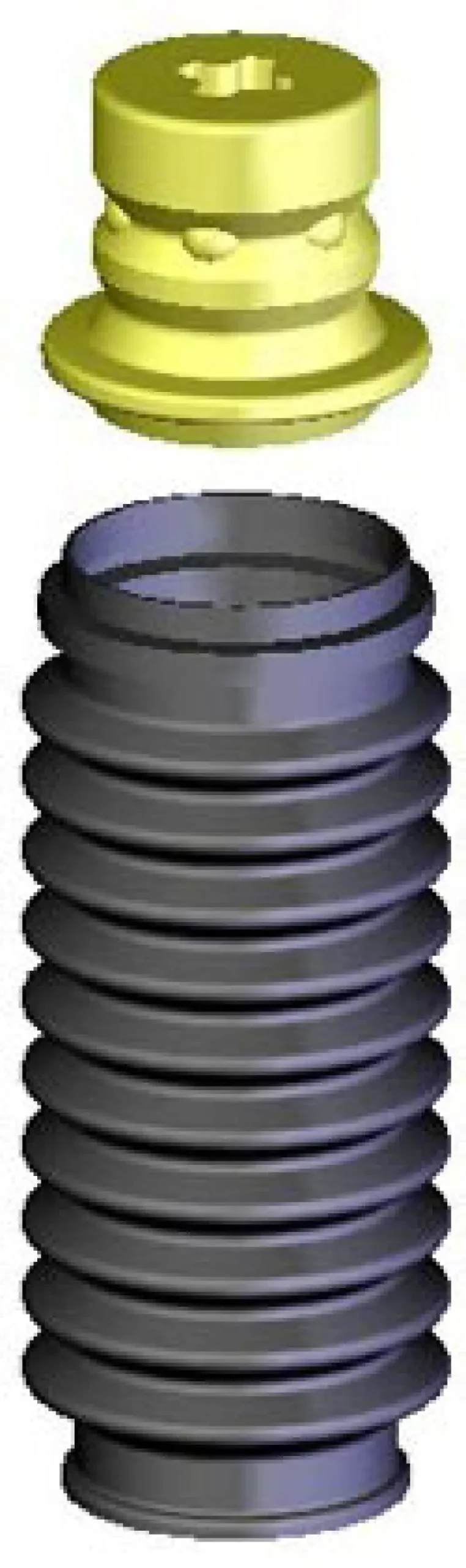 Kyb Front And Rear Strut Boots For Acura Cl (1997–1999, 2001–2003) And Acura El (1997–2000) 1