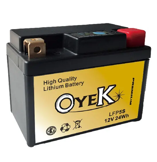 Oyek Battery - Premium Lithium 1
