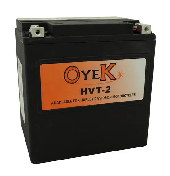 Oyek Battery - Premium Harley Agm 1