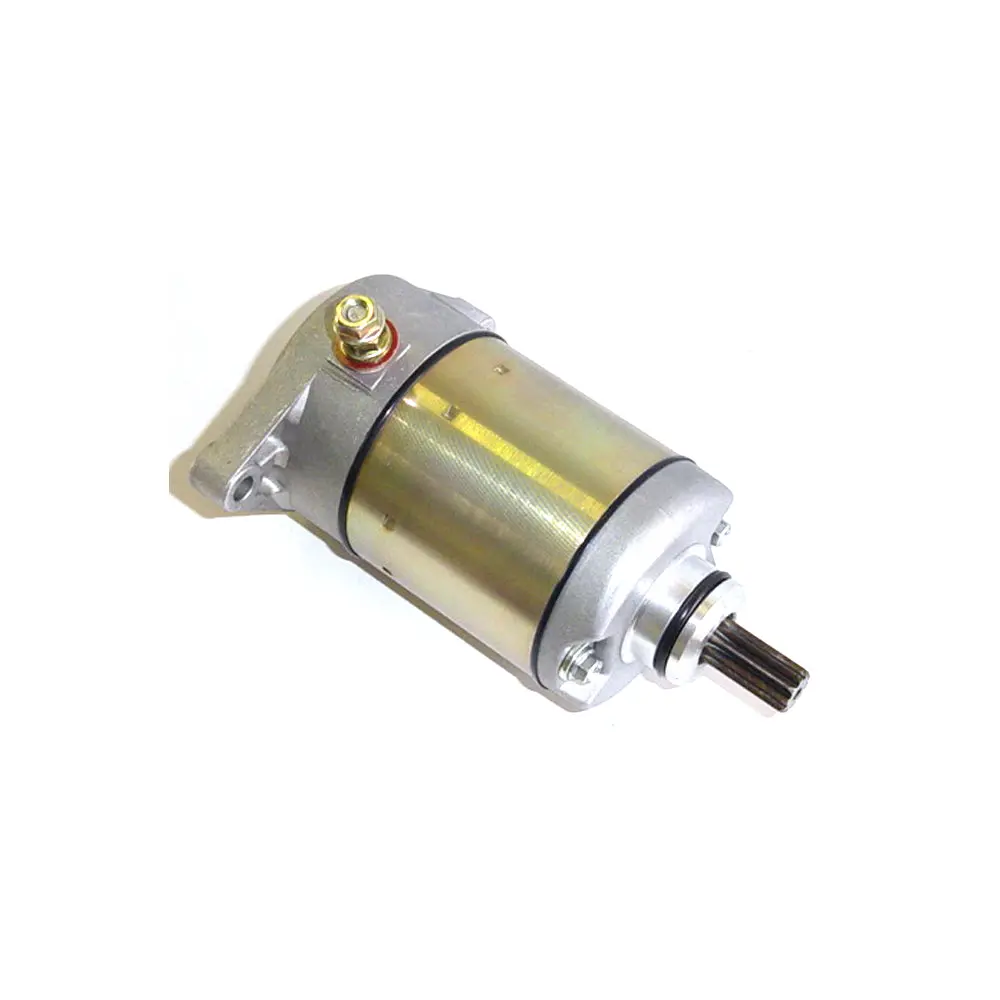Starter Motor Rick Motorsport (Armature For 61-191 Starter) 1