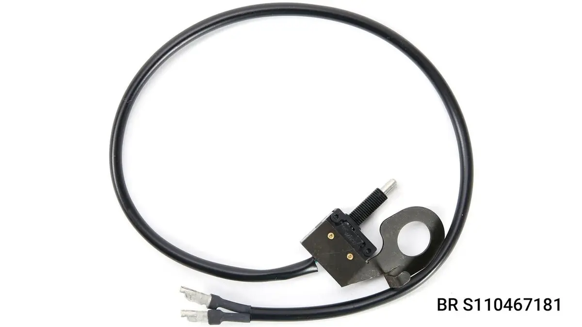 Brembo Microswitches 5