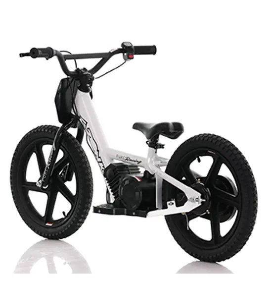 Azonic Pure 16 (Azp-16) - Electric Balance Bike 1