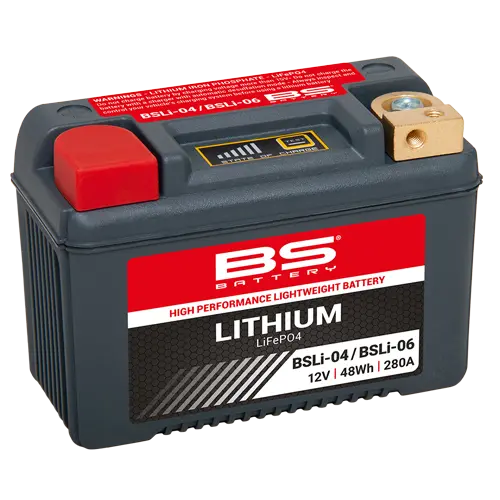 Bs Batteries - 12V Lithium 4
