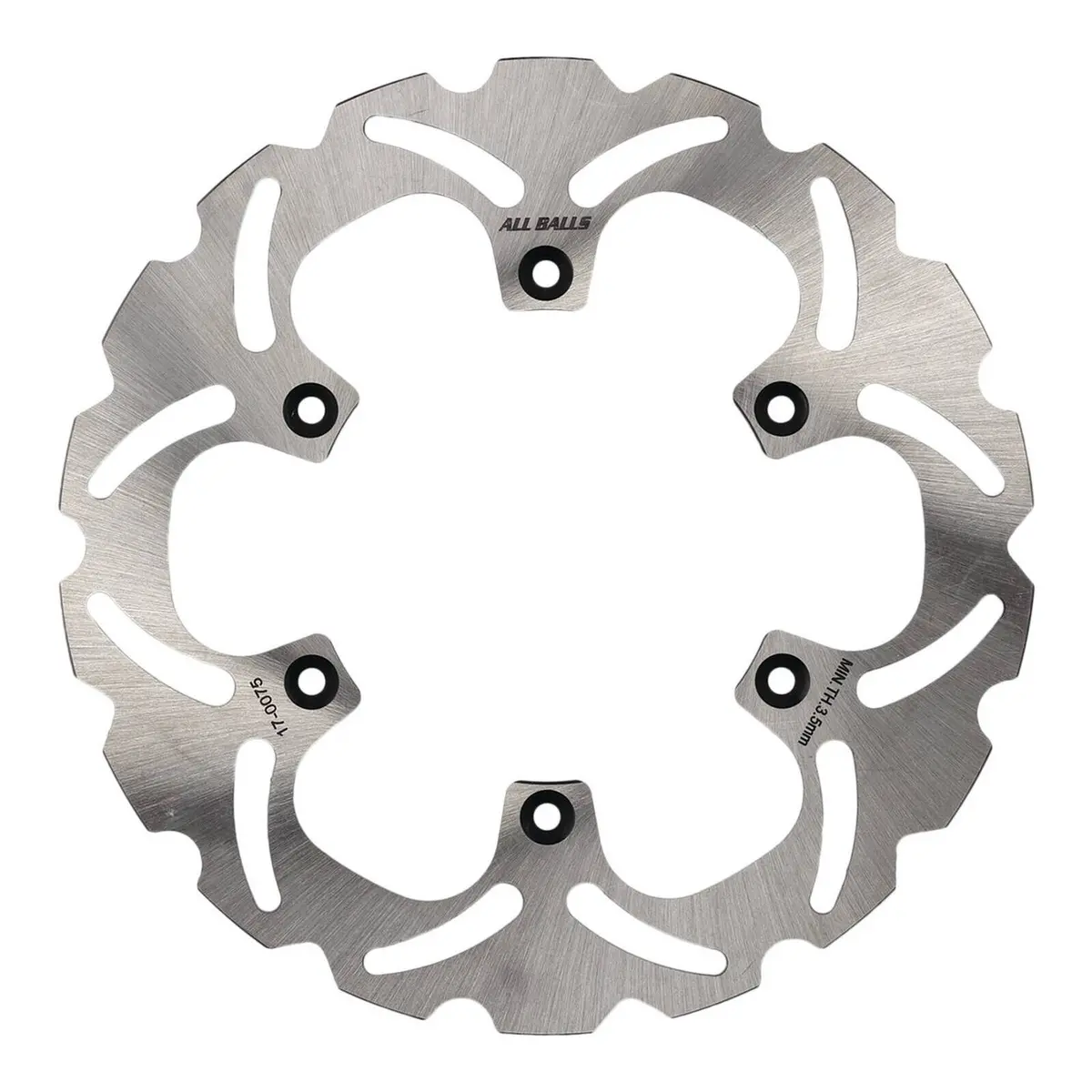 Brake Disc Rear 18-0075 1