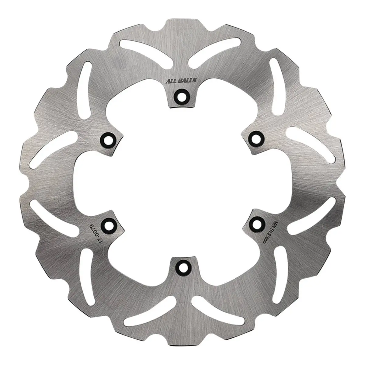 Brake Disc Rear 18-0079 1
