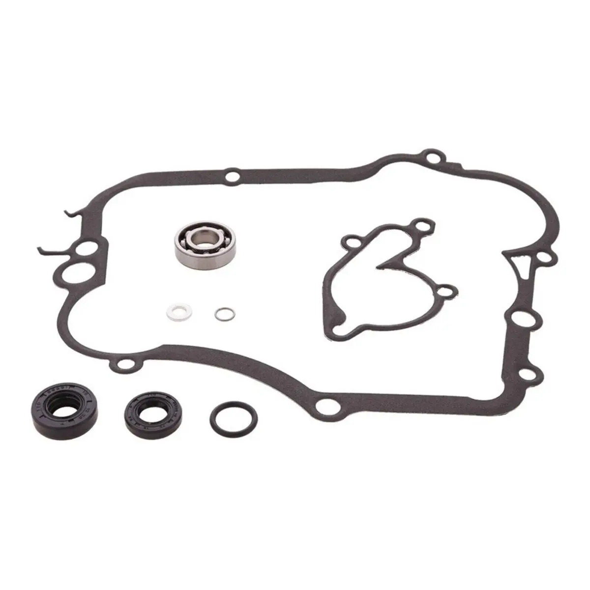 Water Pump Rebuild Kit 8210008 1