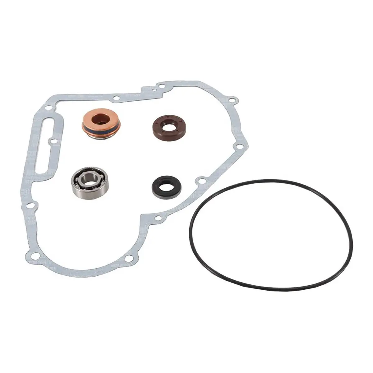 Vertex Water Pump Rebuild Kit - Pol Sportsman 550 X2 '11-'13 1