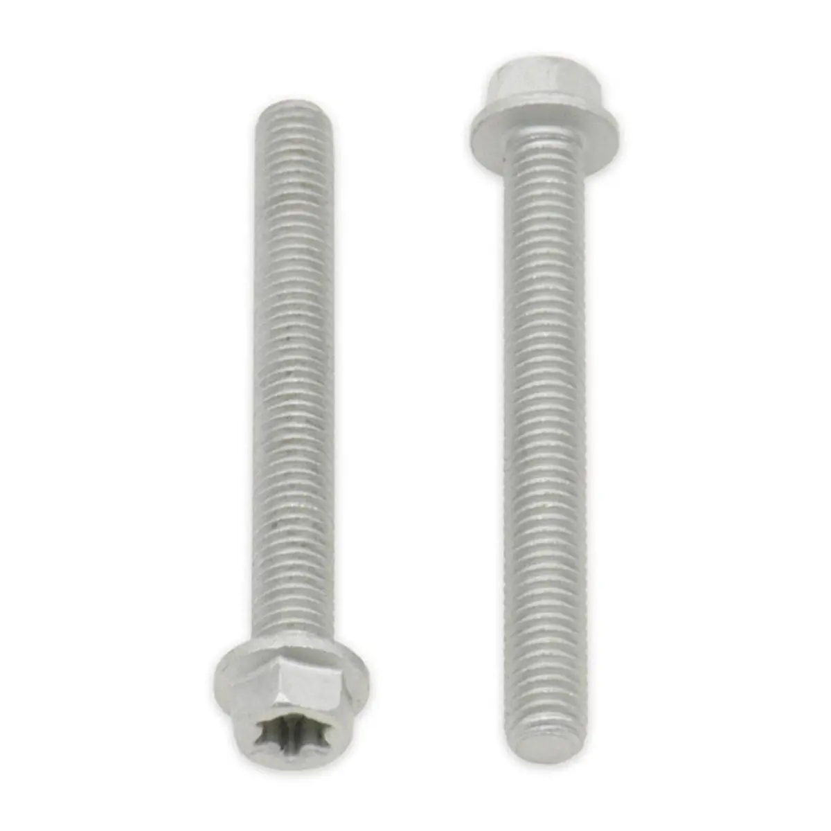 Bolt Euro Torx 6X20mm Flange Bolt (Packet Of 10) Refill 1