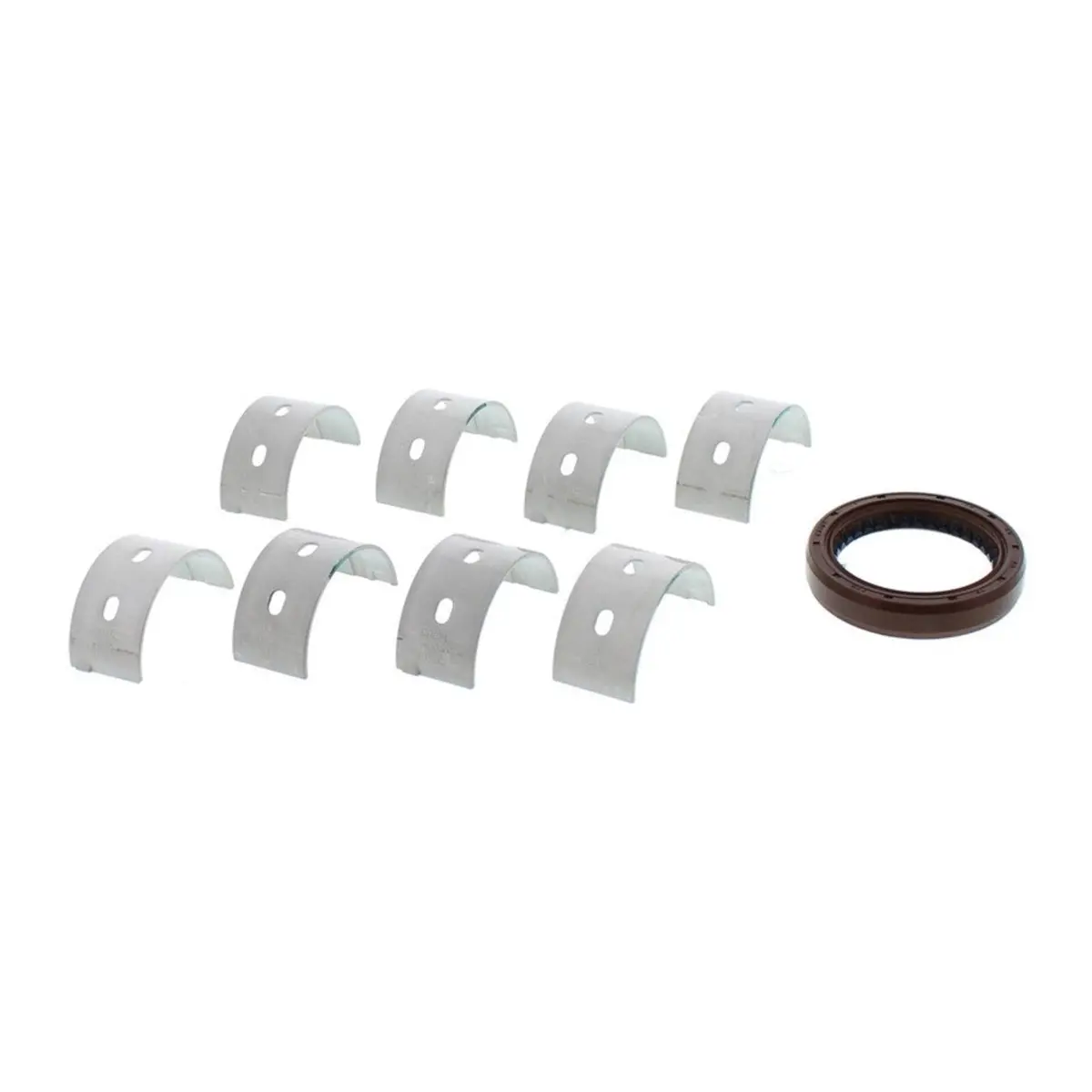 Main Bearing And Seal Kit 1
