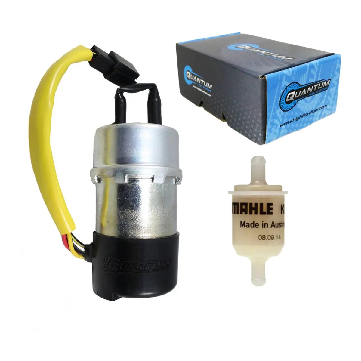 Quantum Frame-Mounted Electric Fuel Pump With Filter 1