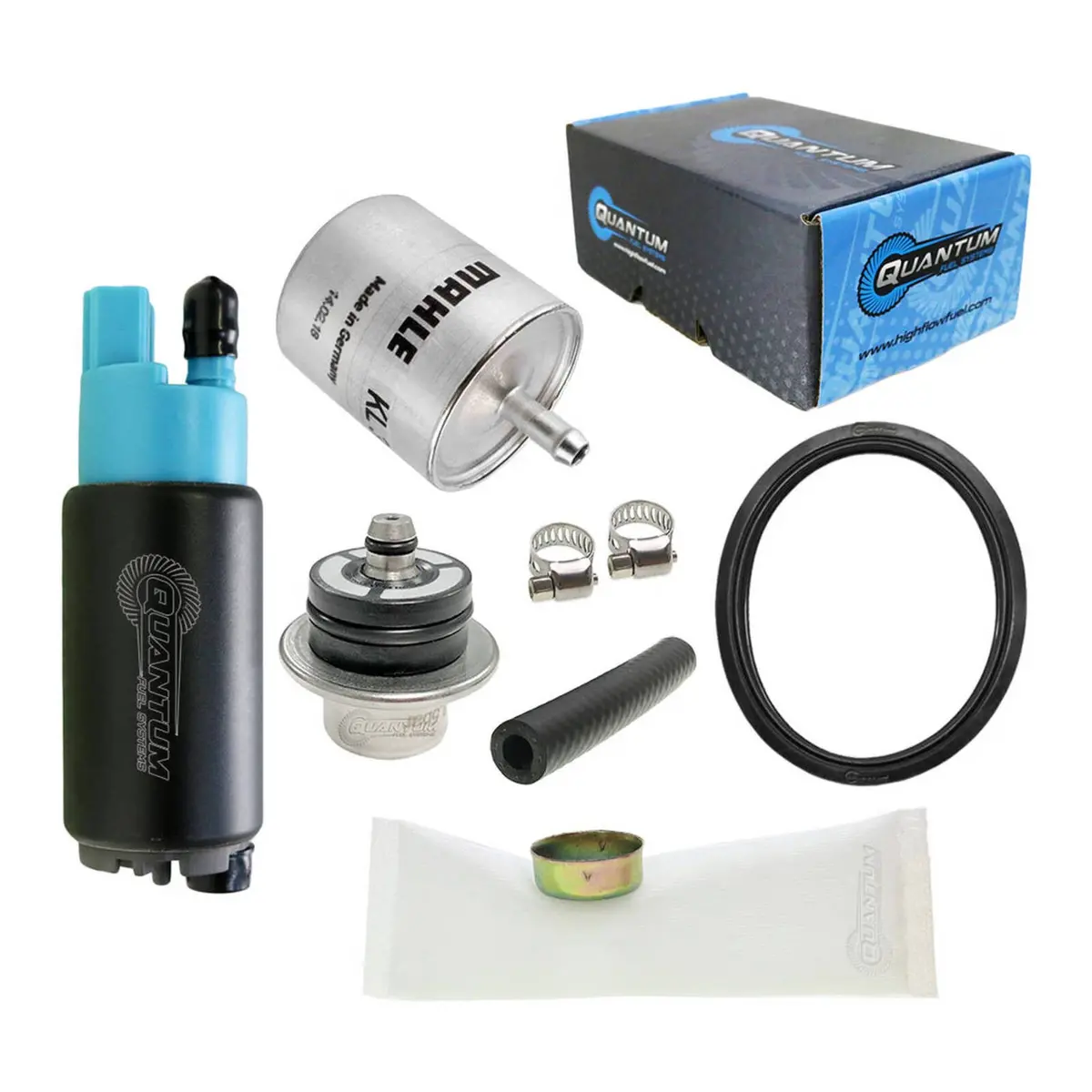 Quantum In-Tank Efi Fuel Pump With Regulator, Tank Seal, Filter 1