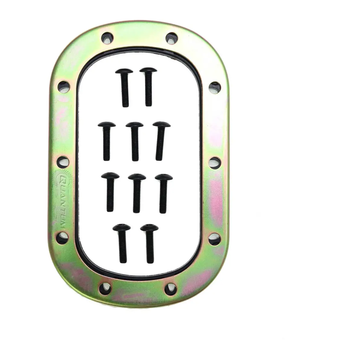 Quantum Fuel Pump Seal Gasket 1