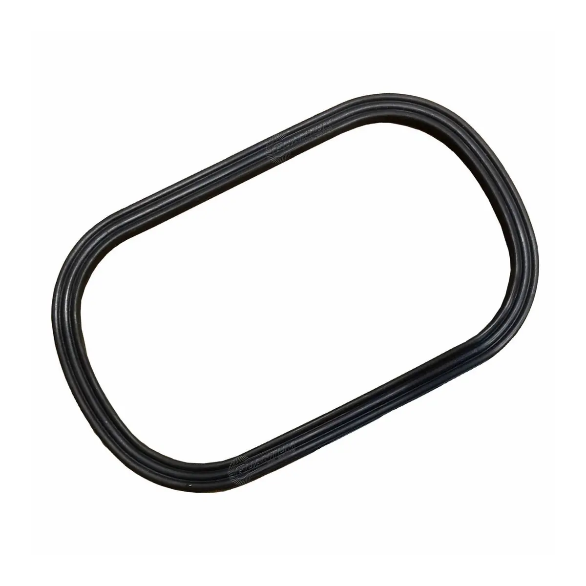 Quantum Fuel Pump Tank Seal Gasket 1