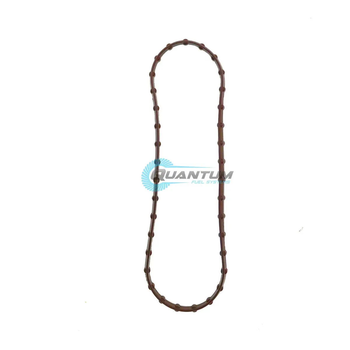 Quantum Fuel Pump Tank Seal Gasket 1