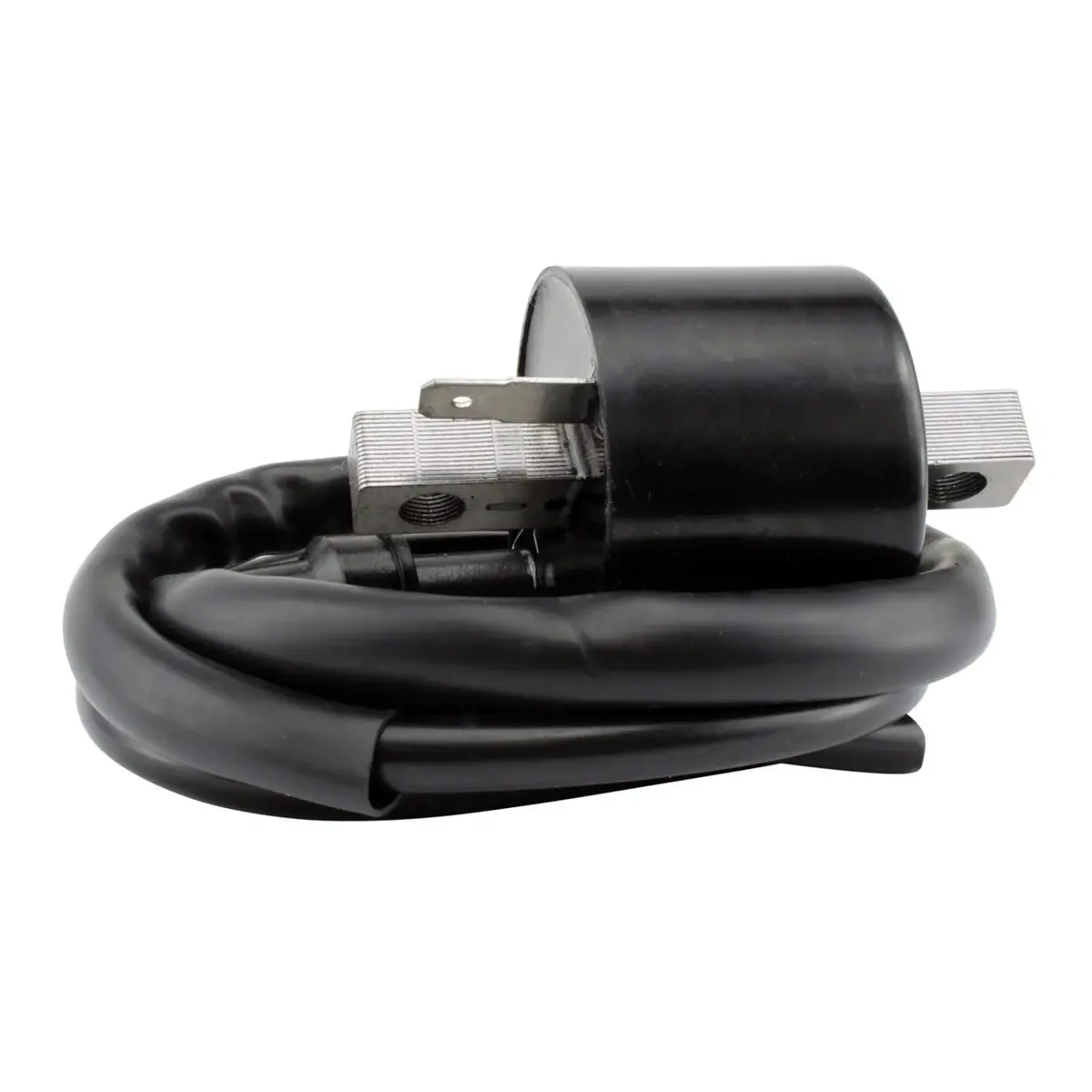 Ignition Coil For Polaris & Honda Models 1