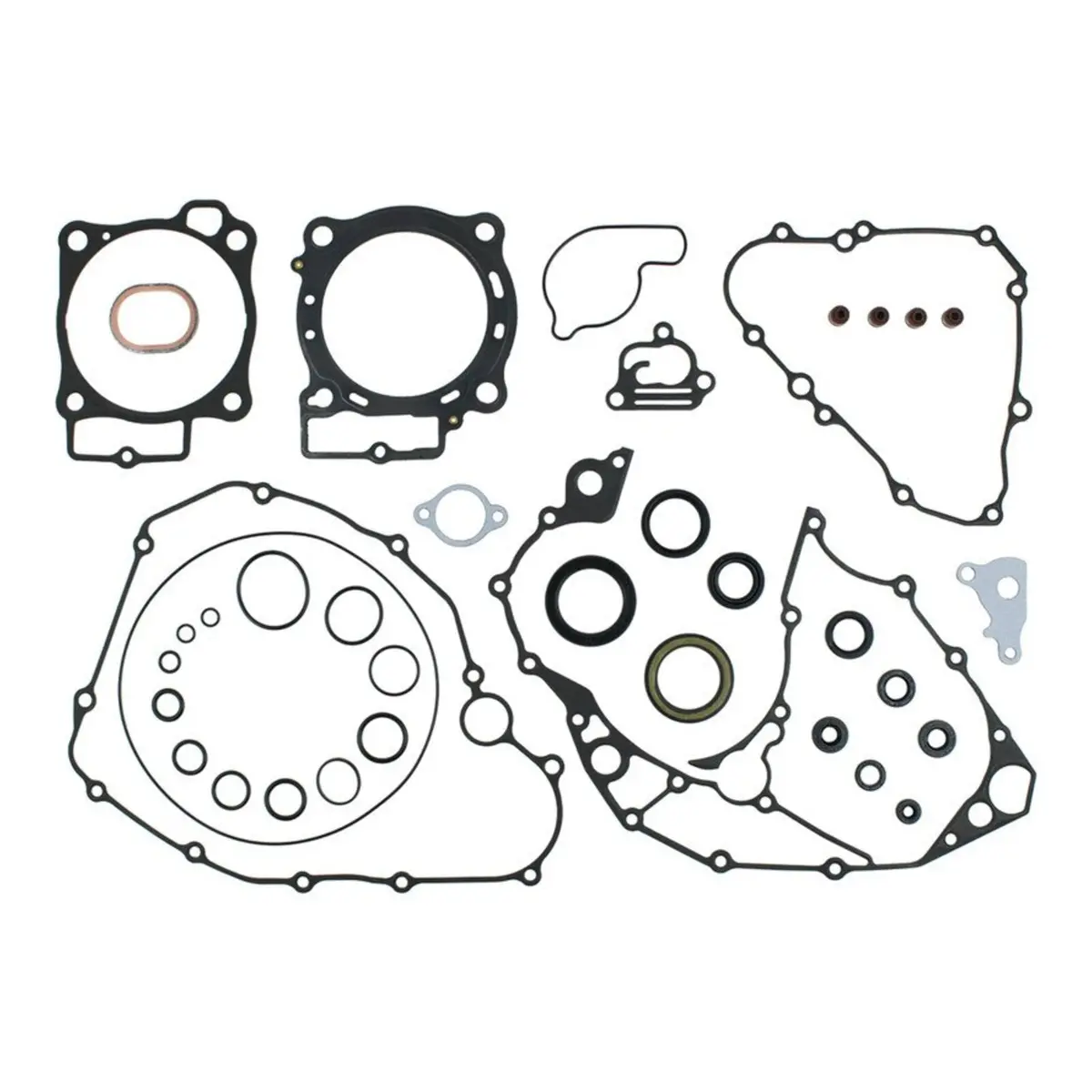 Complete Gasket Set With Oil Seals 8110068 1