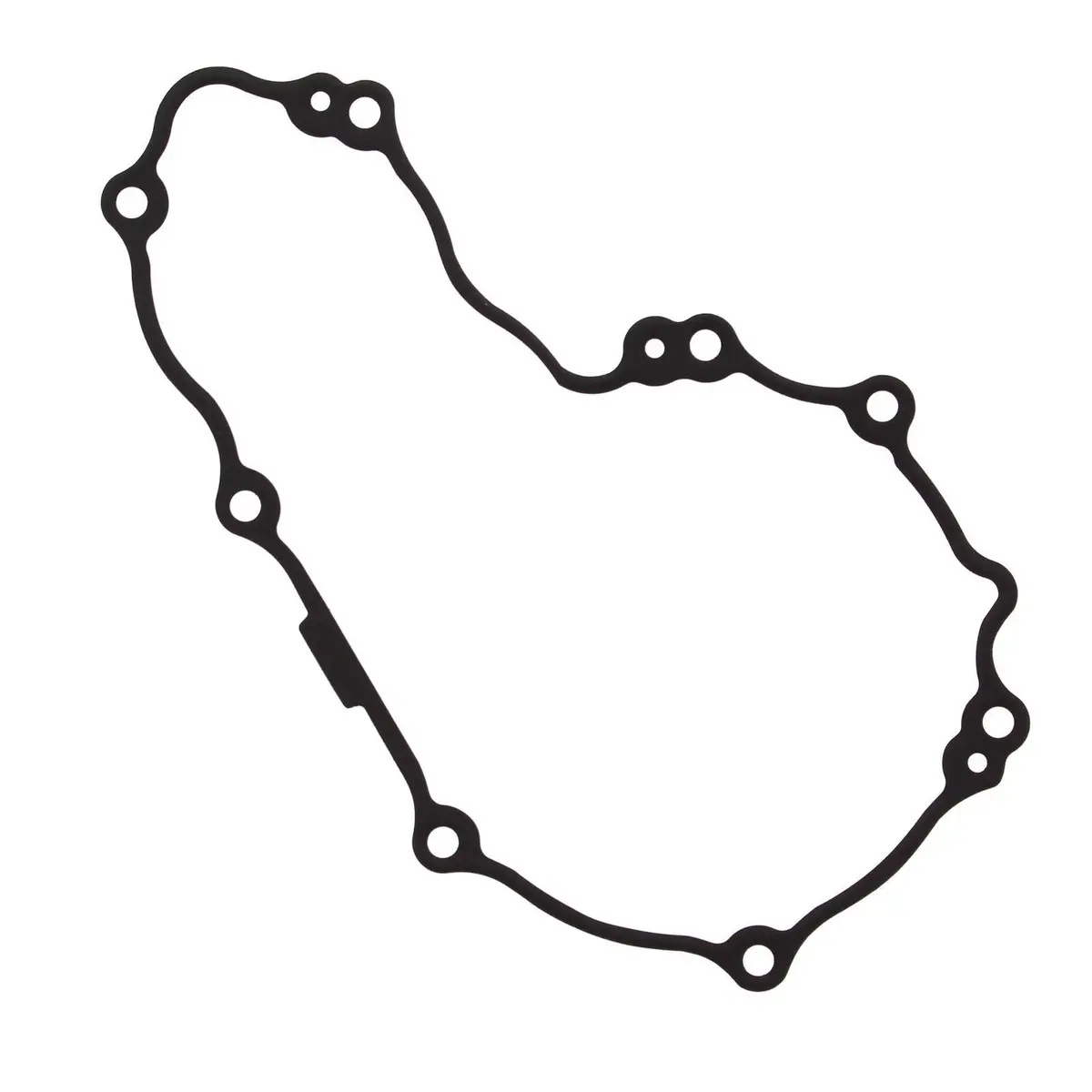 Ignition Cover Gasket Kit 816295 1