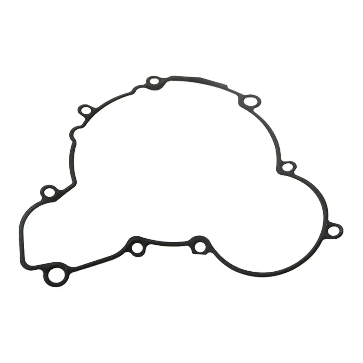 Ignition Cover Gasket Kit 816317 1