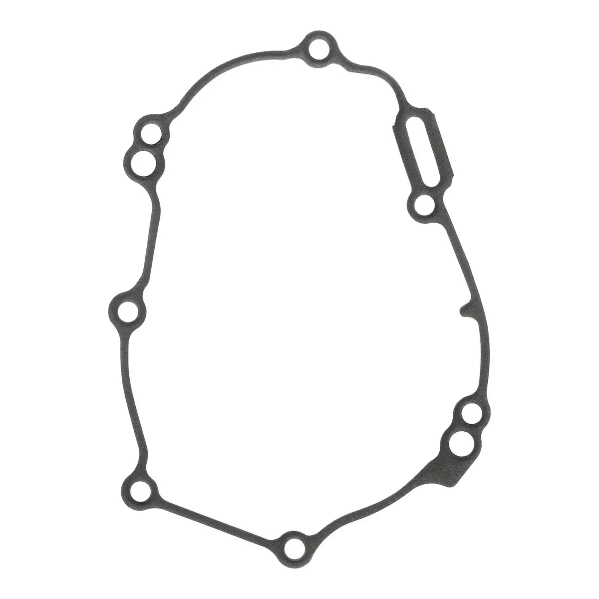 Ignition Cover Gasket Kit 816347 1
