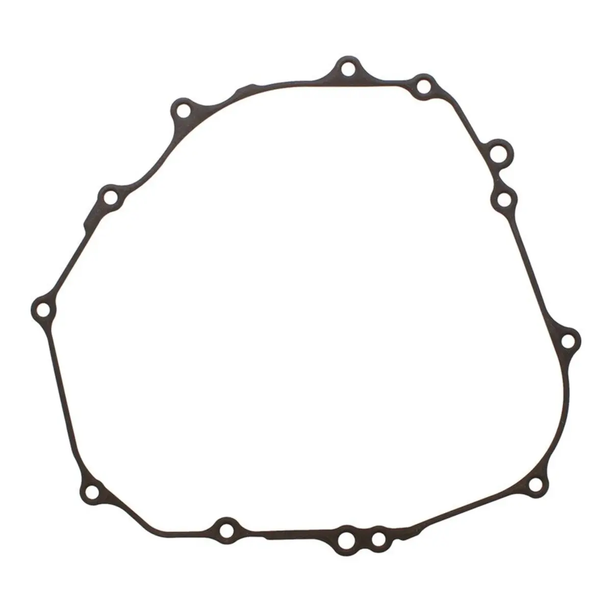Ignition Cover Gasket Kit 816359 1