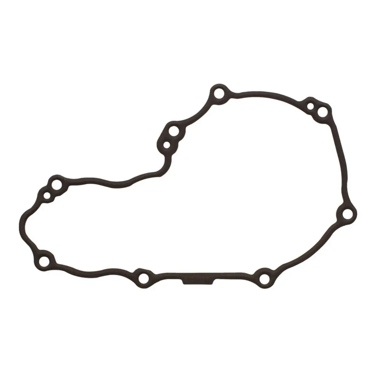Ignition Cover Gasket Kit 816381 1