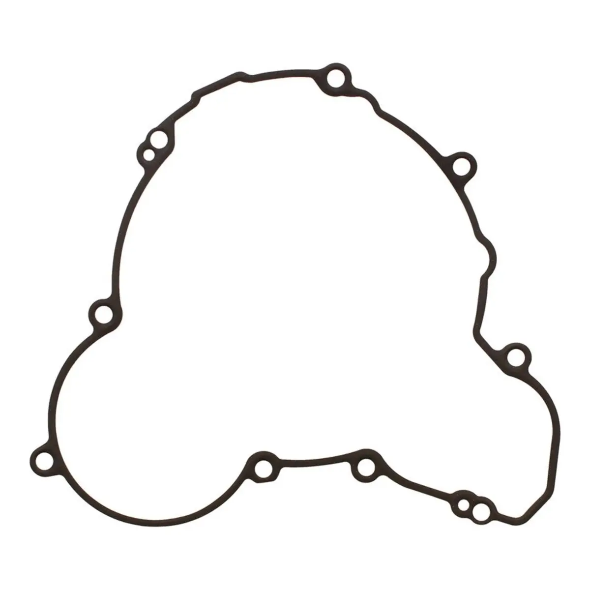 Ignition Cover Gasket Kit 816386 1