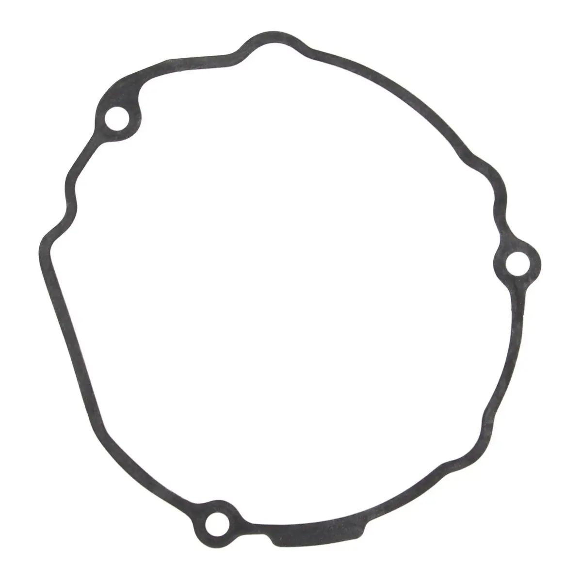 Ignition Cover Gasket Kit 816510 1
