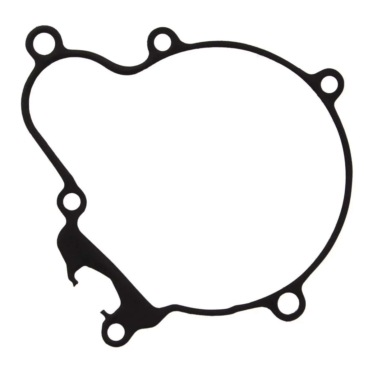 Ignition Cover Gasket Kit 816692 1