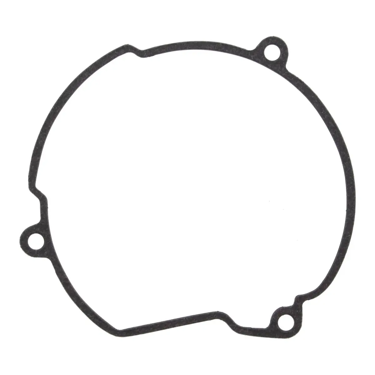Ignition Cover Gasket Kit 816704 1