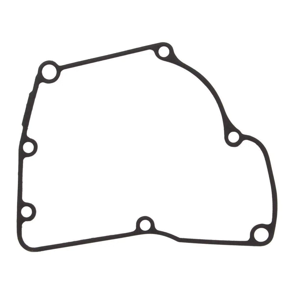 Ignition Cover Gasket Kit 816721 1