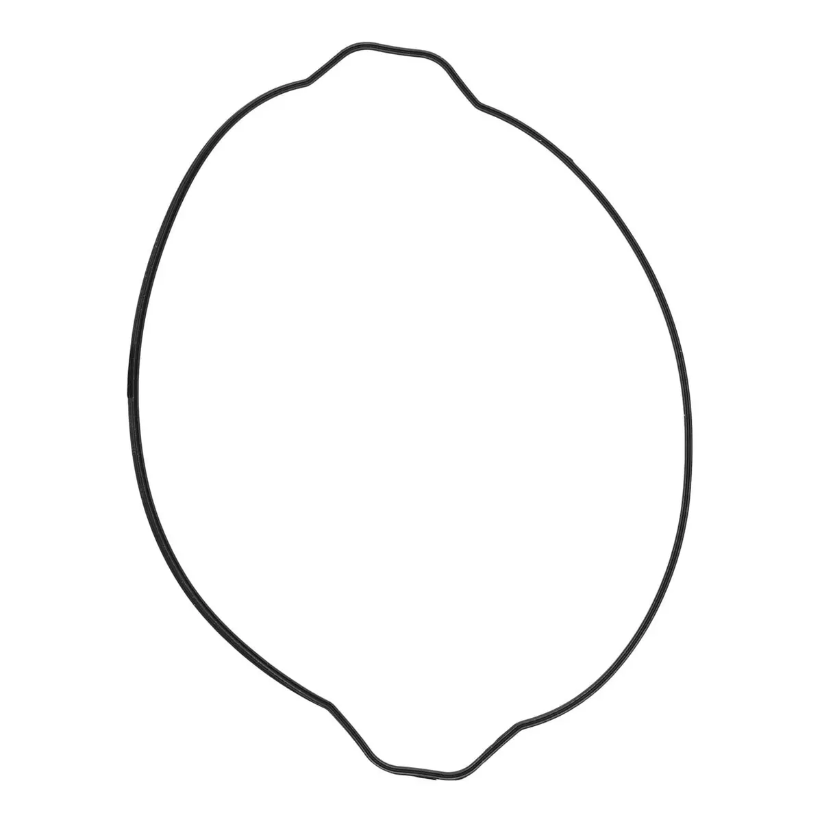 Outer Clutch Gasket Kit 816765 1