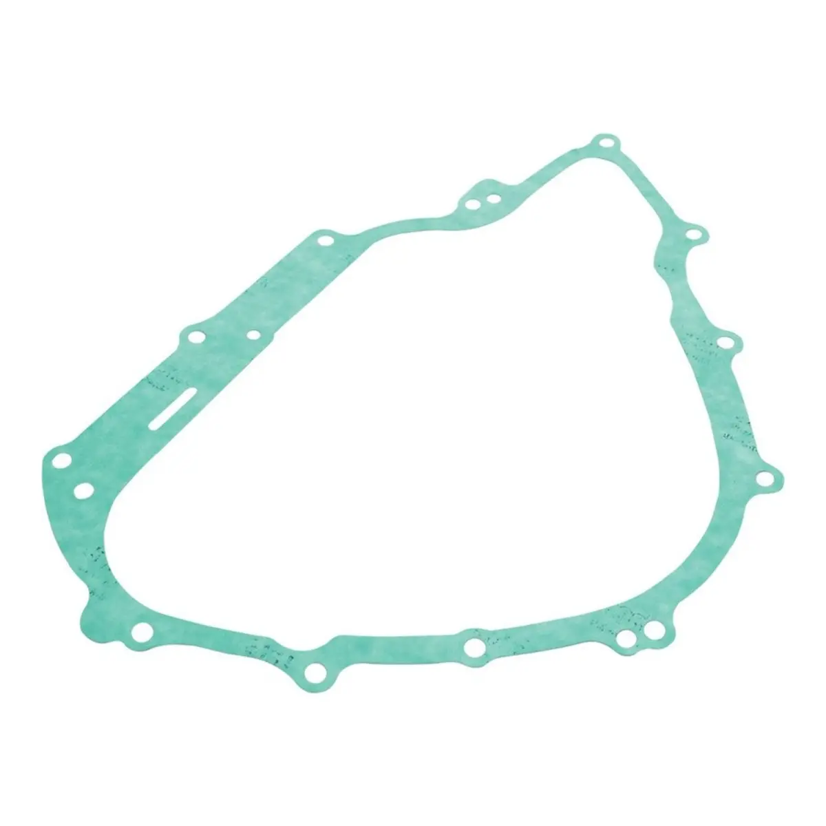 Ignition Cover Gasket Kit 816828 1