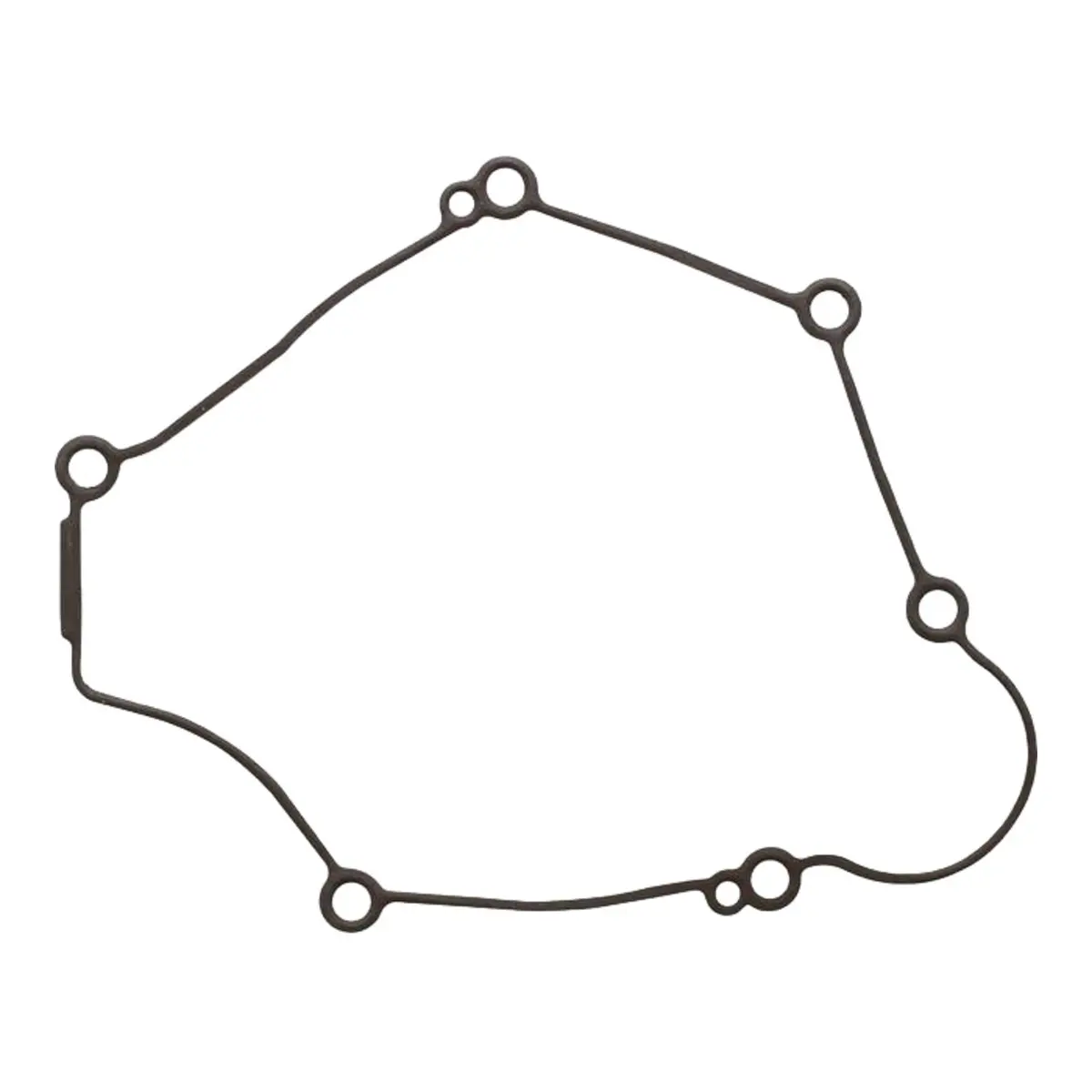 Ignition Cover Gasket Kit 816845 1