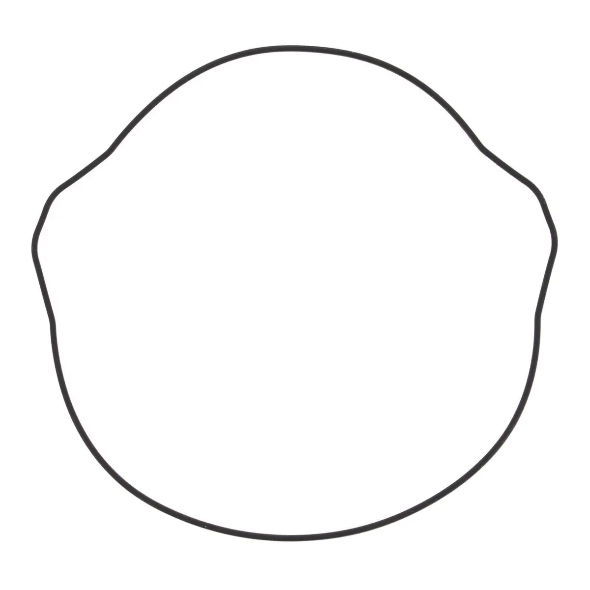 Outer Clutch Gasket Kit 817200 1