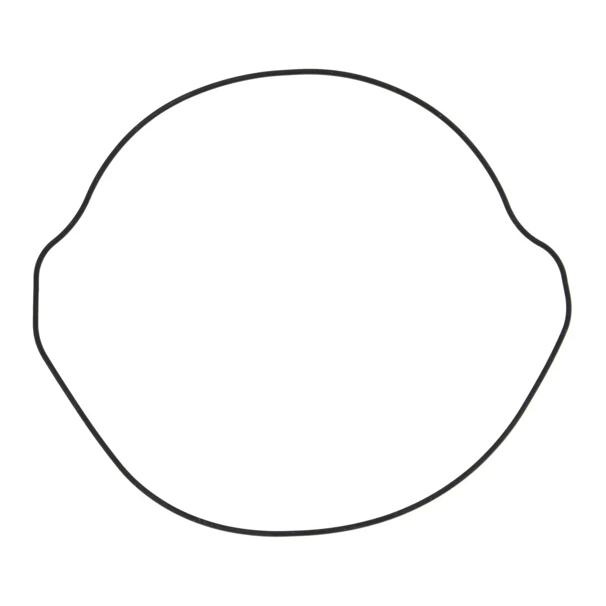 Outer Clutch Gasket Kit 817252 1