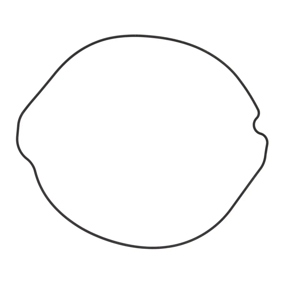 Outer Clutch Gasket Kit 817253 1