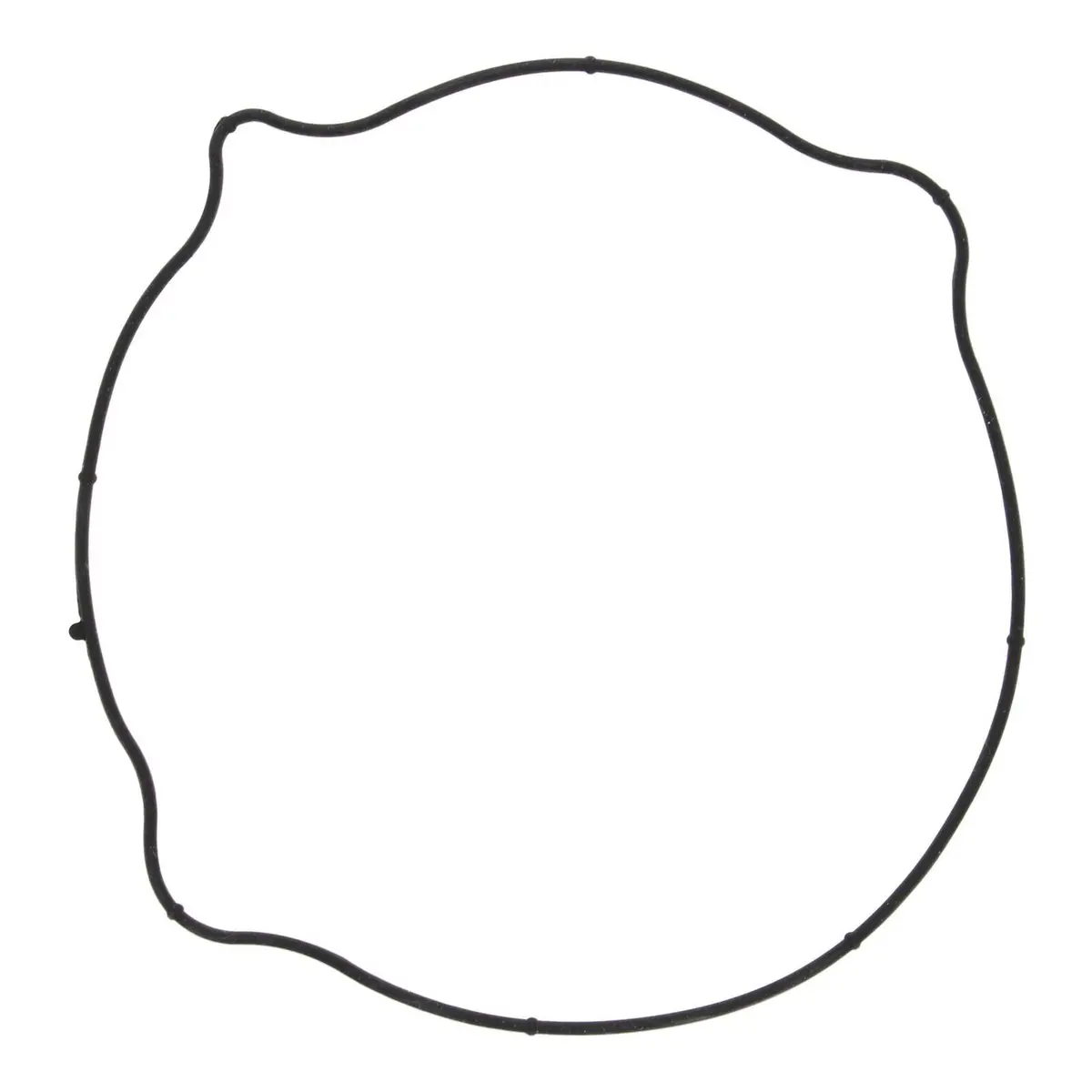 Outer Clutch Gasket Kit 817731 1