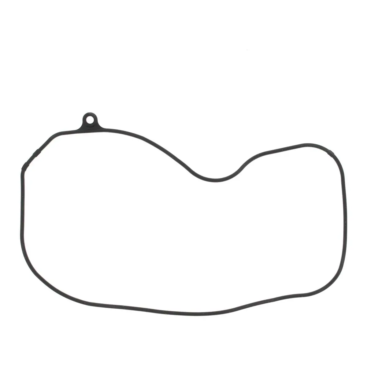 Ignition Cover Gasket Kit 817796 1
