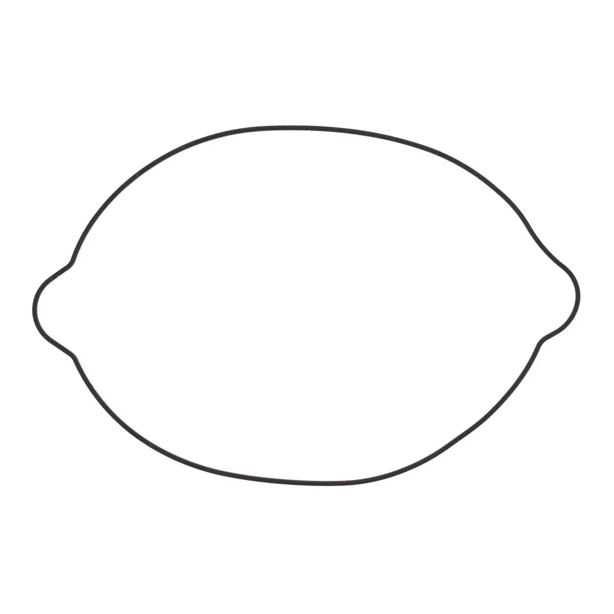 Outer Clutch Gasket Kit 817826 1