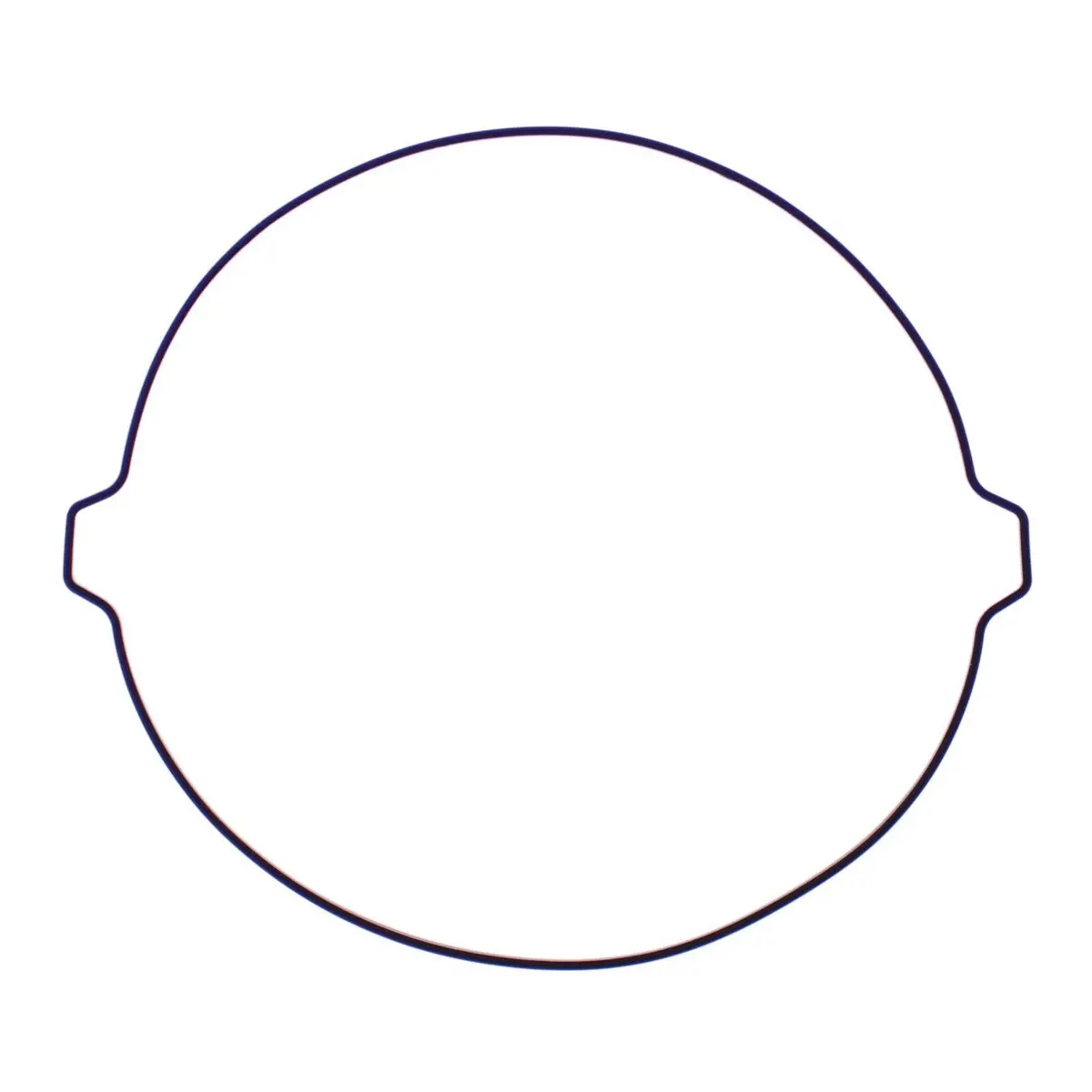 Outer Clutch Gasket Kit 817885 1