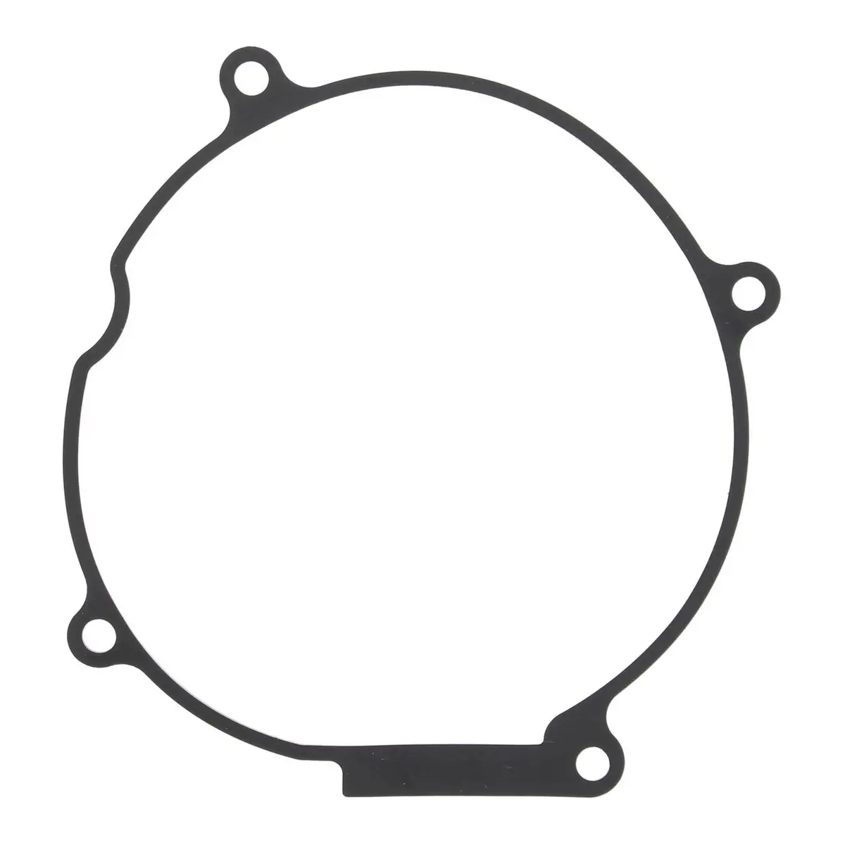 Ignition Cover Gasket Kit 817946 1