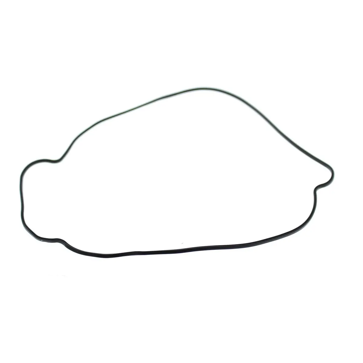 Outer Clutch Gasket Kit 817987 1