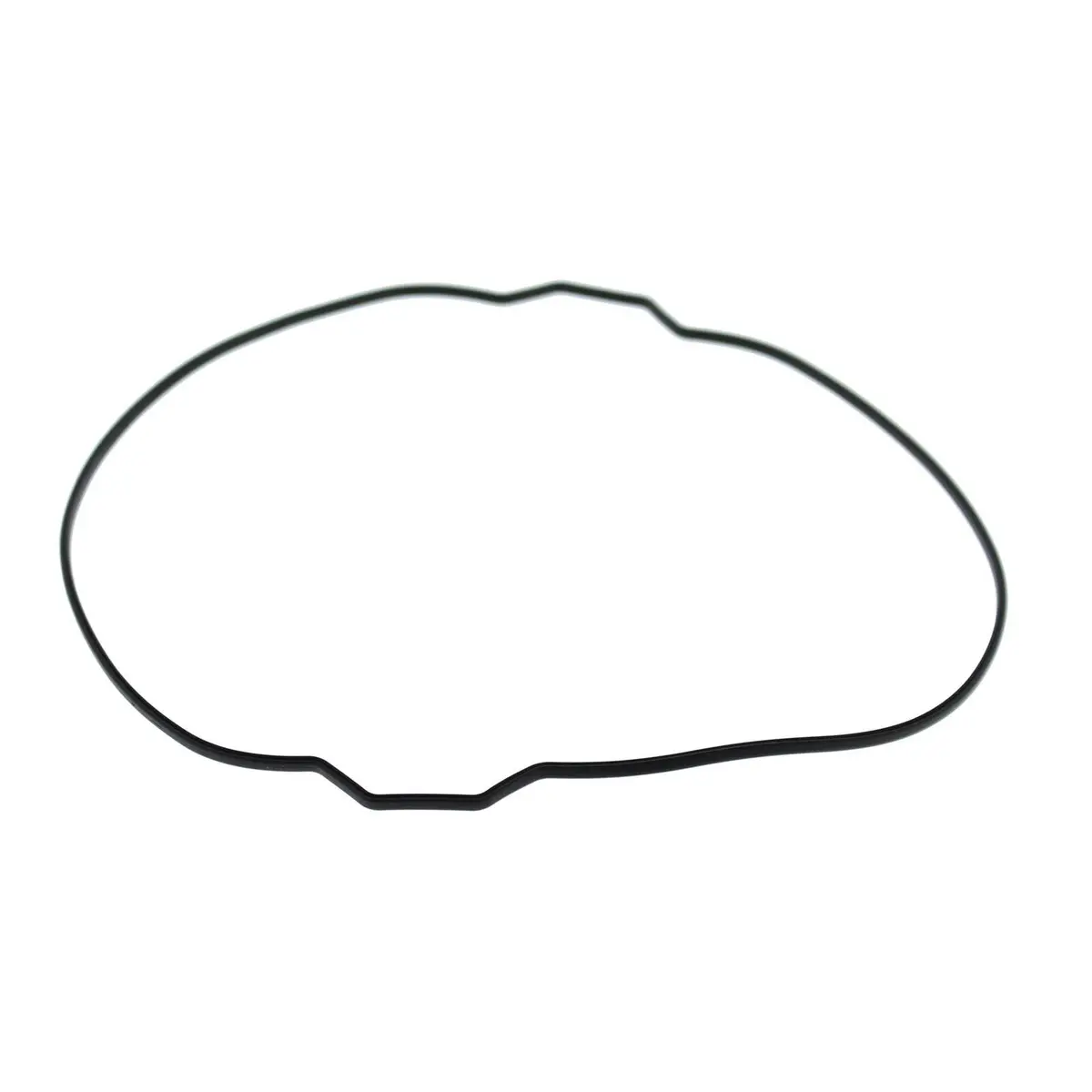 Outer Clutch Gasket Kit 819054 1