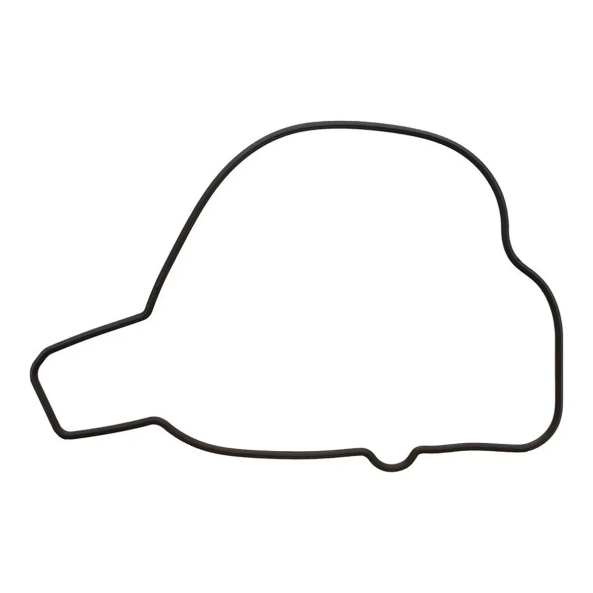 Ignition Cover Gasket Kit 819210 1