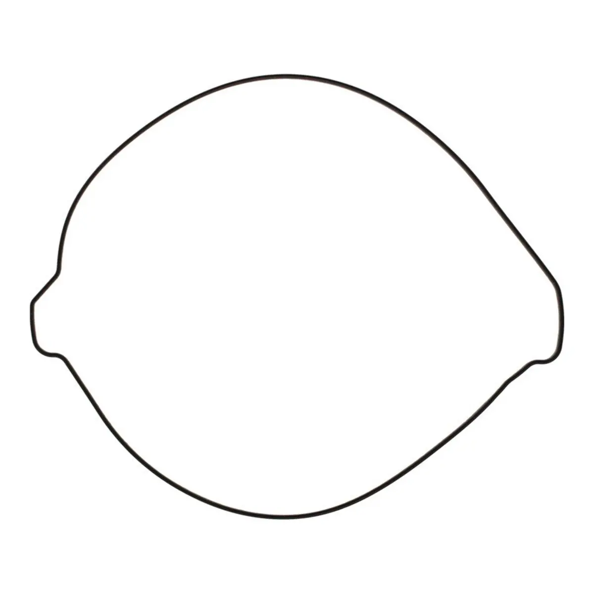 Outer Clutch Gasket Kit 819267 1