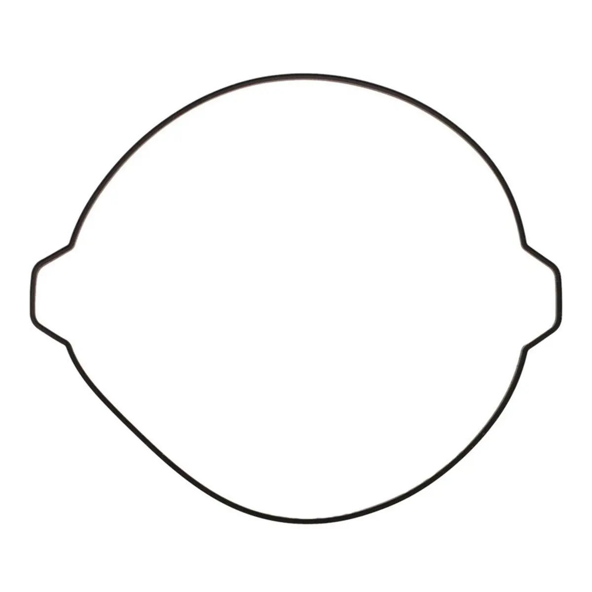 Outer Clutch Gasket Kit 819268 1