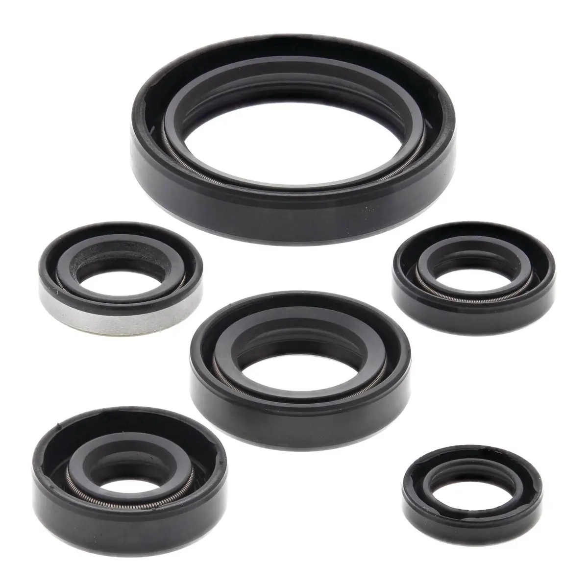 Oil Seal Kit 822137 1