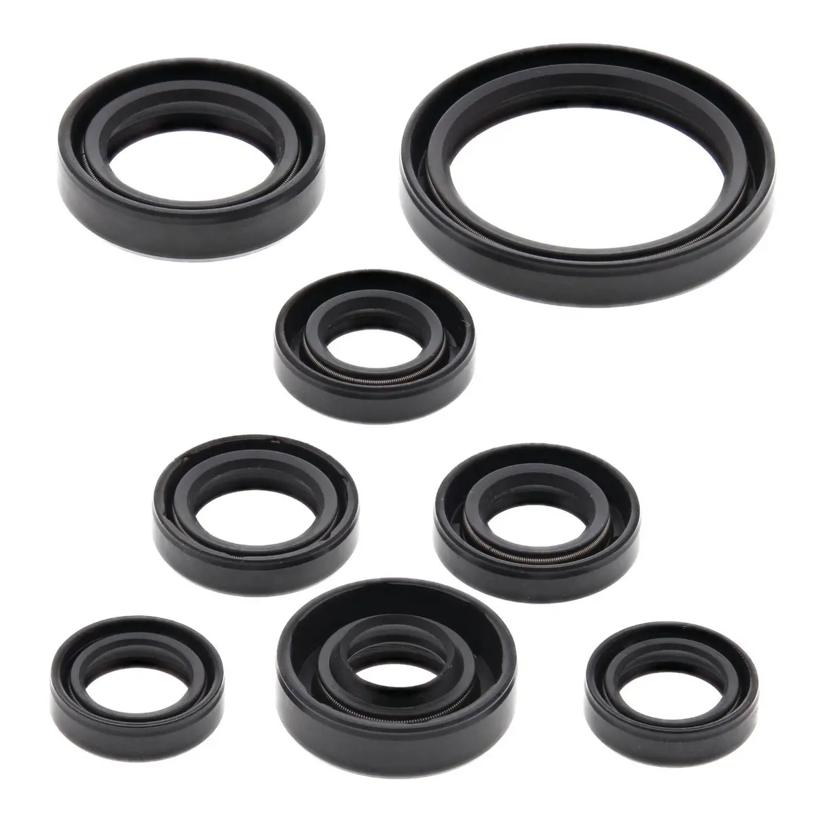 Oil Seal Kit 822167 1