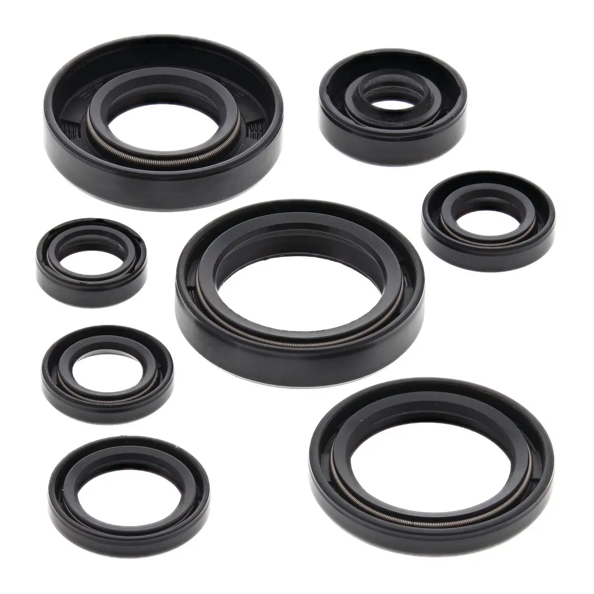Oil Seal Kit 822173 1